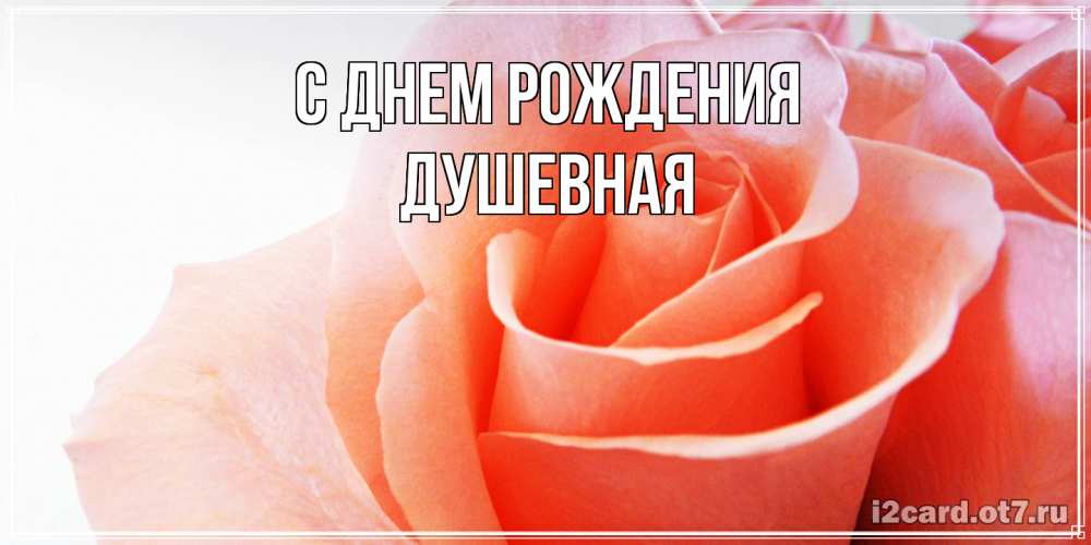 Открытка на каждый день с именем, Душевная С днем рождения розы для поздравления с днем рождения Прикольная открытка с пожеланием онлайн скачать бесплатно 