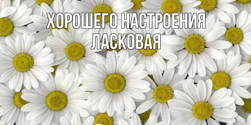 Картинка Хорошего настроения, Ласковая