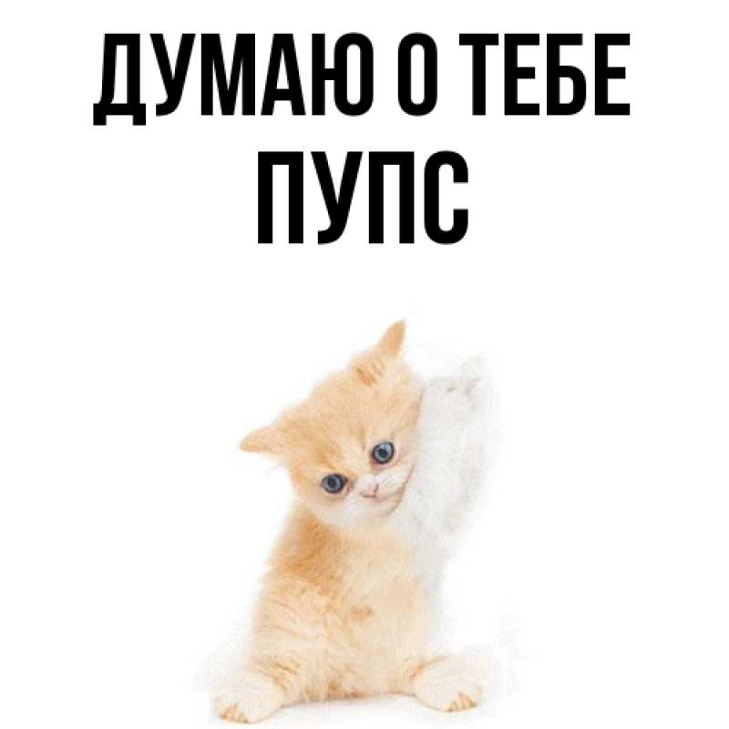 Картинка Думаю о тебе, Пупс