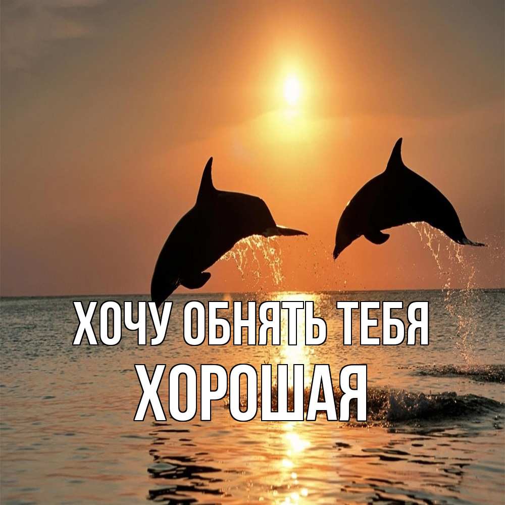 Открытка на каждый день с именем, Хоpошая Хочу обнять тебя рыбы на закате Прикольная открытка с пожеланием онлайн скачать бесплатно 