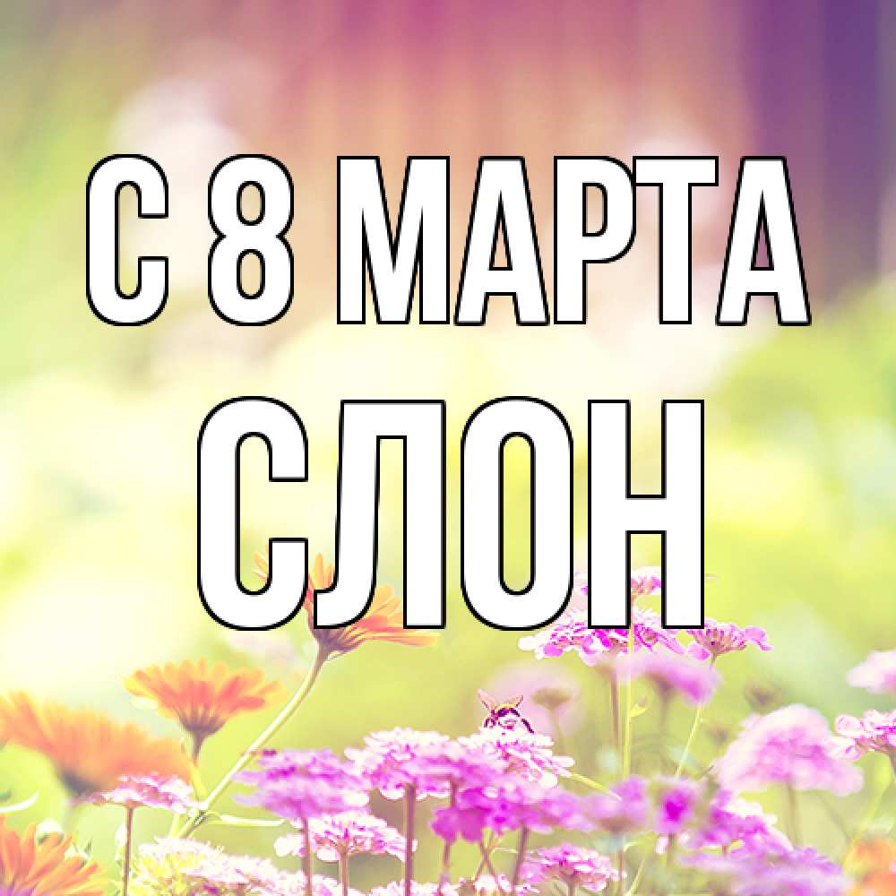 Открытка на каждый день с именем, Слон C 8 МАРТА цветы весна Прикольная открытка с пожеланием онлайн скачать бесплатно 