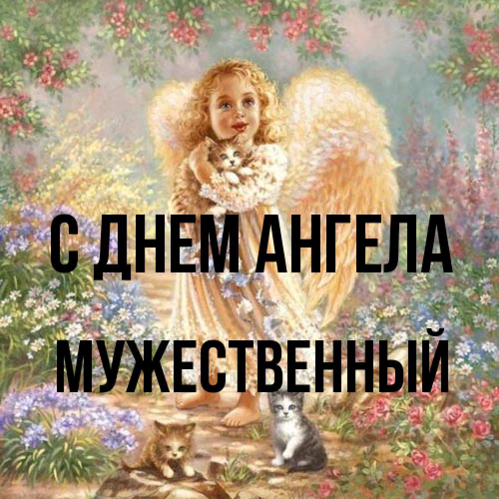 Открытка на каждый день с именем, Мужественный С днем ангела держит котенка Прикольная открытка с пожеланием онлайн скачать бесплатно 