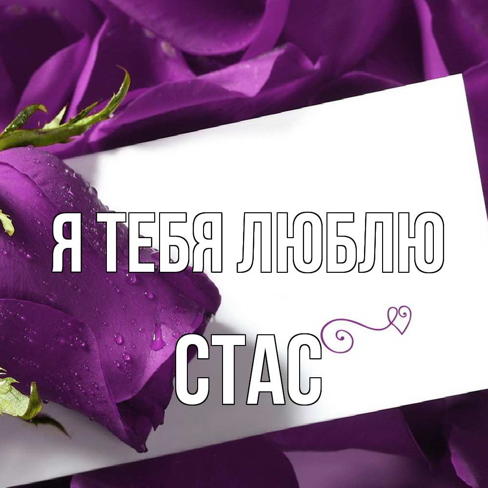 Открытка на каждый день с именем, Стас Я тебя люблю роза Прикольная открытка с пожеланием онлайн скачать бесплатно 