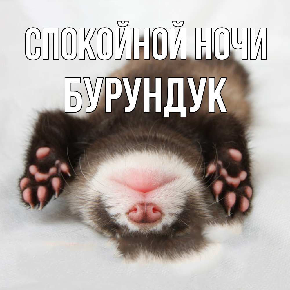Открытка на каждый день с именем, Бурундук Спокойной ночи зверек Прикольная открытка с пожеланием онлайн скачать бесплатно 