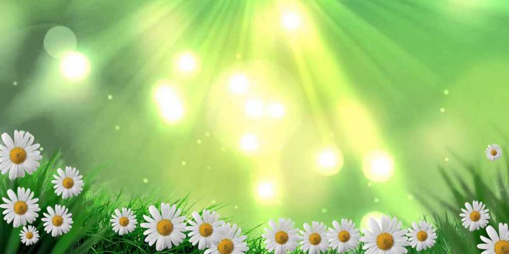 Открытка на каждый день с именем, Цветочек Хорошего настроения открытка с ромашками и солнечными лучами Прикольная открытка с пожеланием онлайн скачать бесплатно 