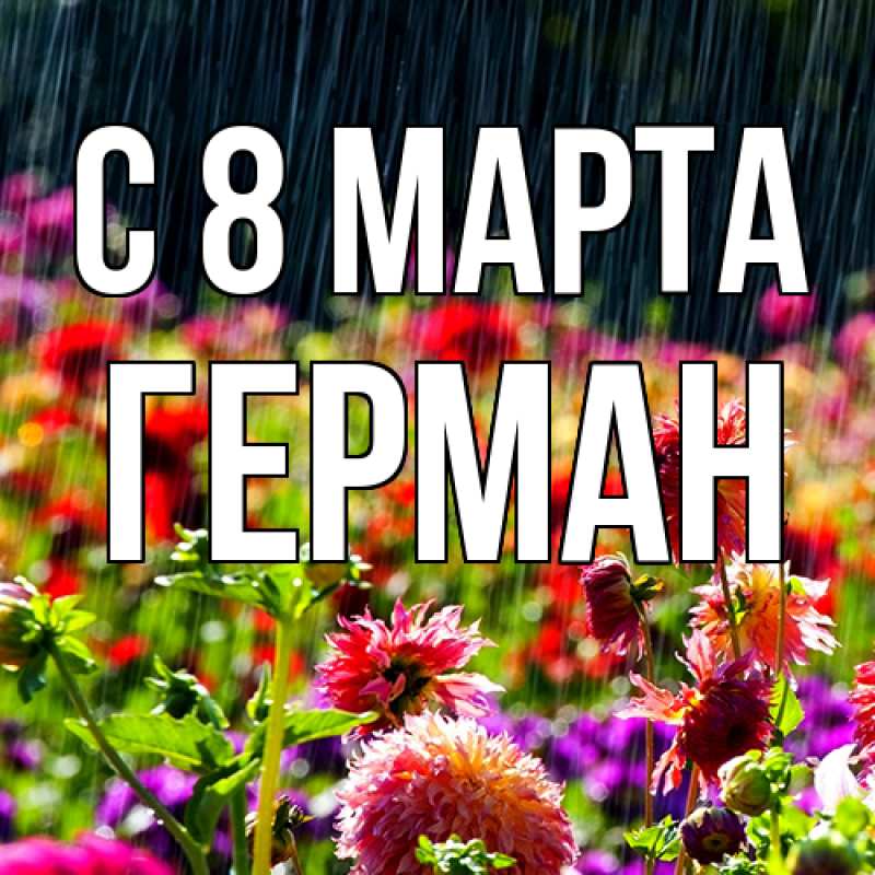 Картинка C 8 МАРТА, Герман