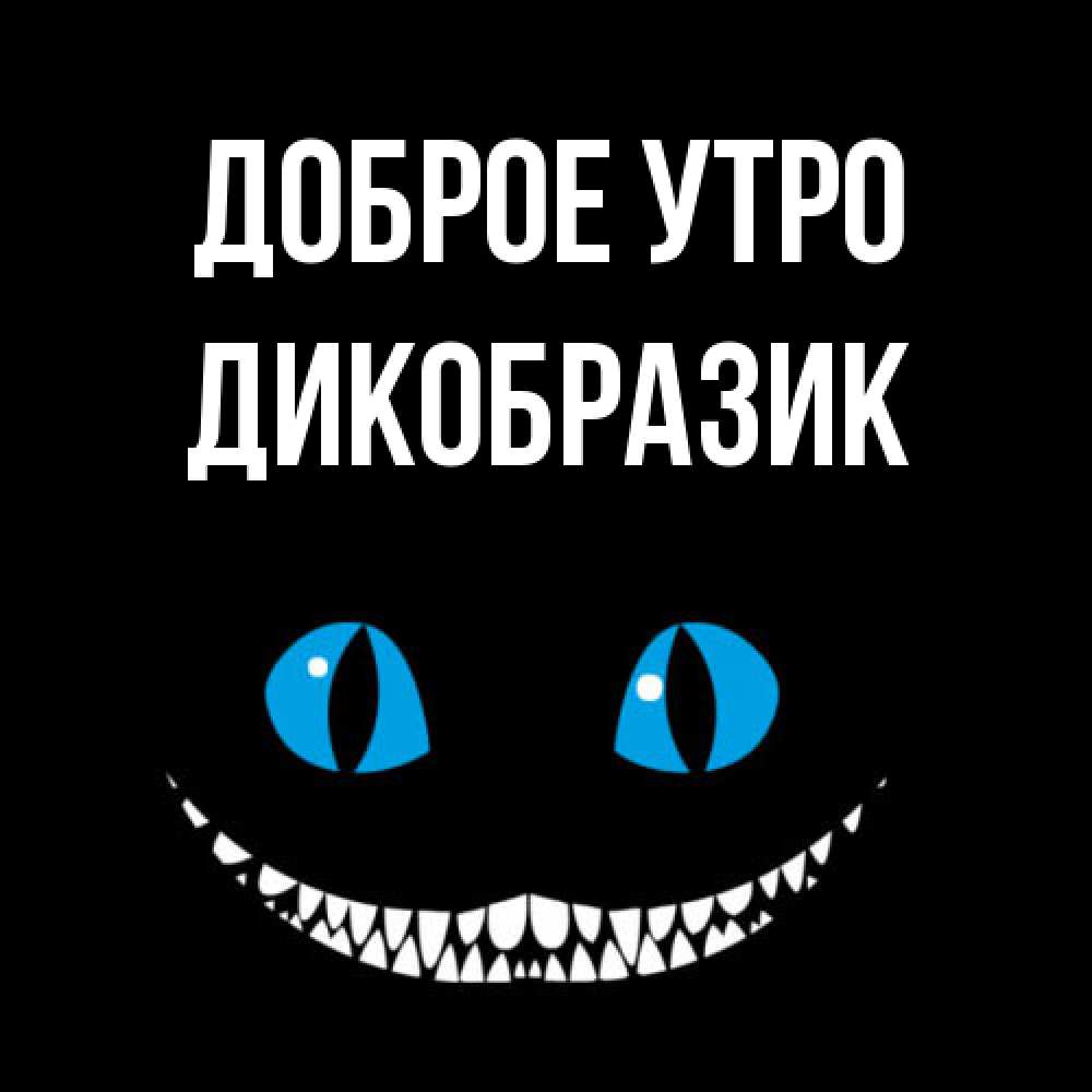 Открытка на каждый день с именем, дикобразик Доброе утро голубые глаза и зубки Прикольная открытка с пожеланием онлайн скачать бесплатно 