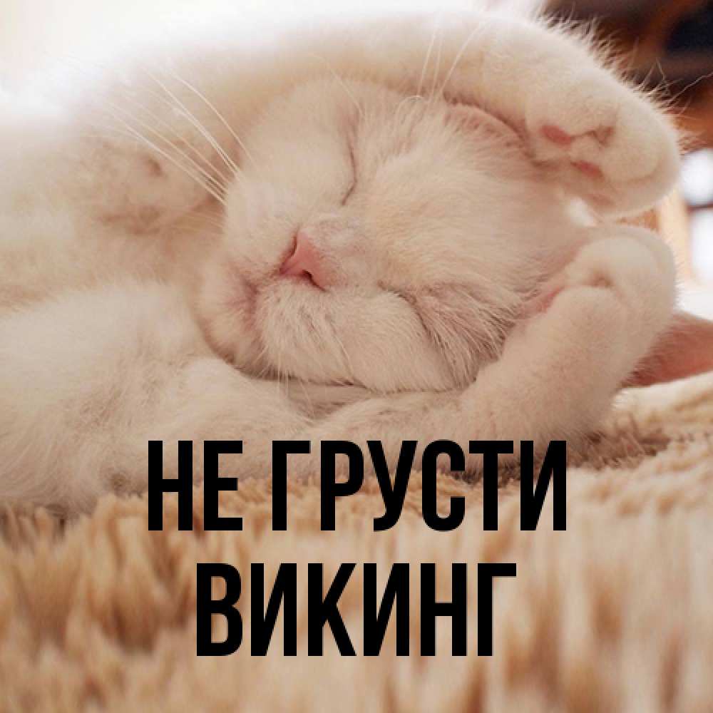Открытка на каждый день с именем, Викинг Не грусти Котенок спит Прикольная открытка с пожеланием онлайн скачать бесплатно 