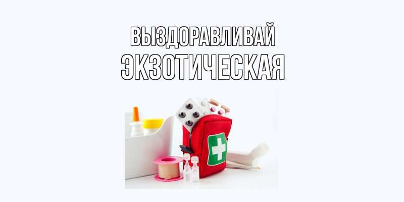 Картинка Выздоравливай, Экзотическая