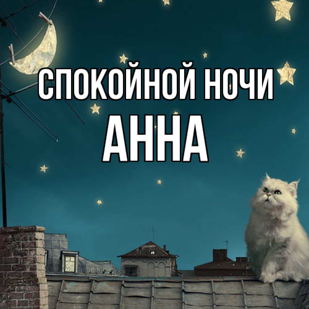 Открытка на каждый день с именем, Анна Спокойной ночи белый кот сидит на крыше Прикольная открытка с пожеланием онлайн скачать бесплатно 