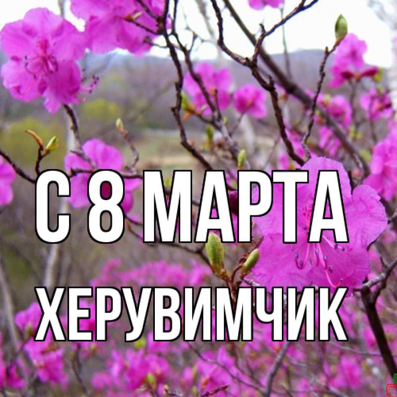 Картинка C 8 МАРТА, херувимчик
