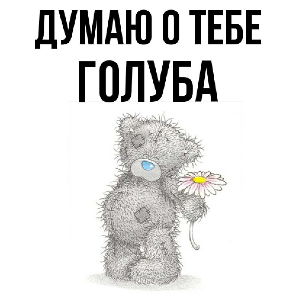 Открытка на каждый день с именем, Голуба Думаю о тебе мысли только о тебе Прикольная открытка с пожеланием онлайн скачать бесплатно 