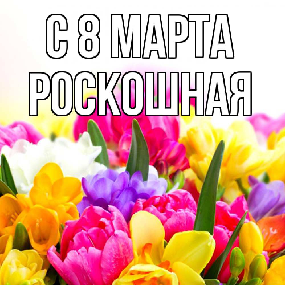Открытка на каждый день с именем, Роскошная C 8 МАРТА тюльпаны Прикольная открытка с пожеланием онлайн скачать бесплатно 