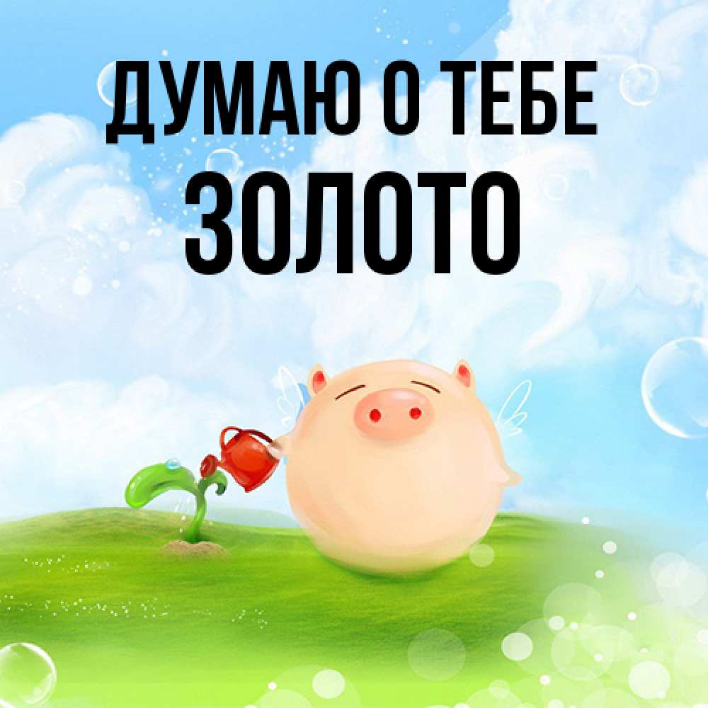 Открытка на каждый день с именем, Золото Думаю о тебе позитивная свинюшка Прикольная открытка с пожеланием онлайн скачать бесплатно 
