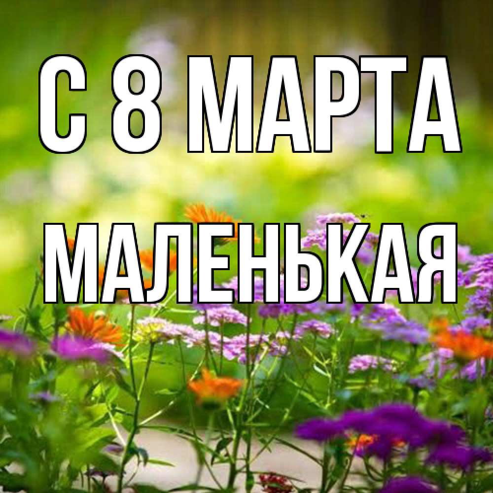 Открытка на каждый день с именем, Маленькая C 8 МАРТА цветы Прикольная открытка с пожеланием онлайн скачать бесплатно 