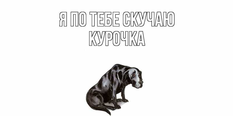 Картинка Я по тебе скучаю, Курочка