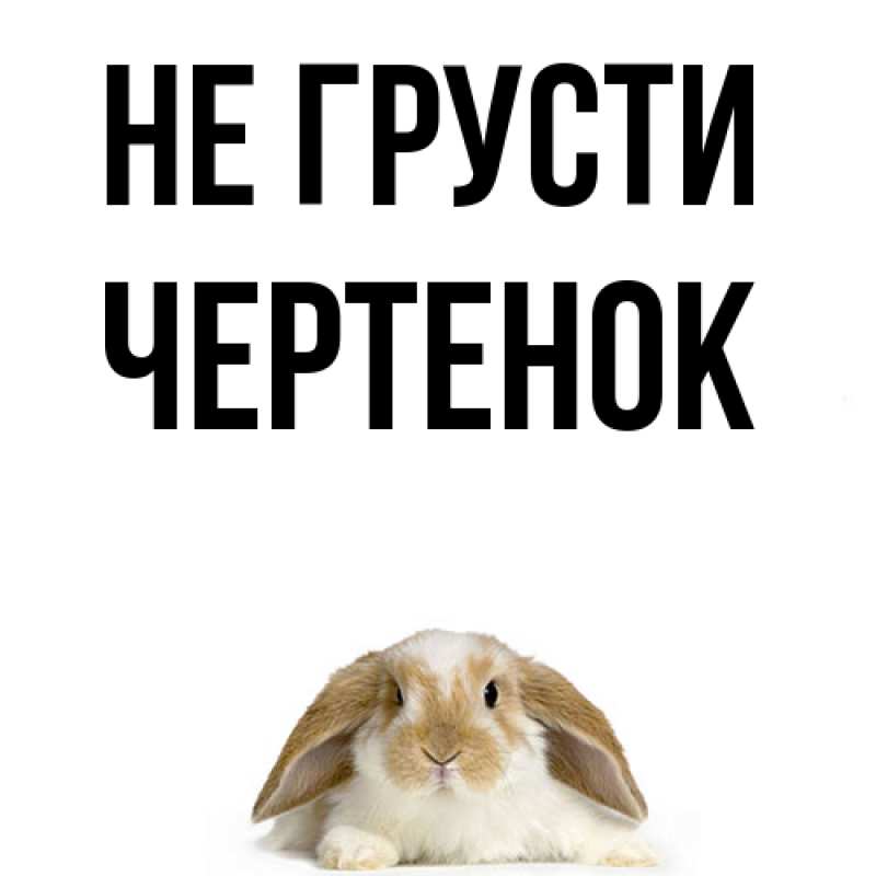 Картинка Не грусти, чеpтенок