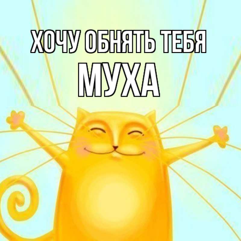 Картинка Хочу обнять тебя, Муха