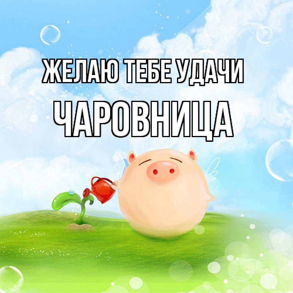 Открытка на каждый день с именем, чаровница Желаю тебе удачи поросенок поливает цветок. летнее настроение Прикольная открытка с пожеланием онлайн скачать бесплатно 