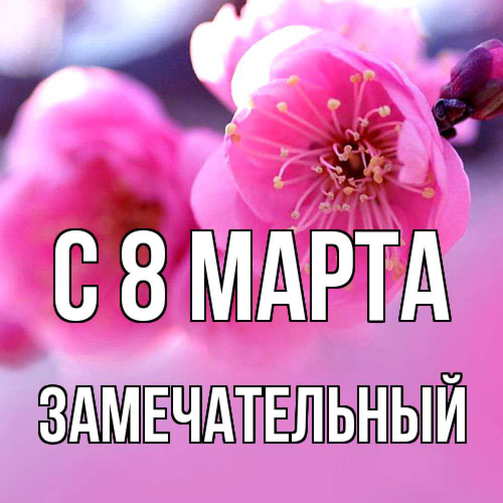 Открытка на каждый день с именем, Замечательный C 8 МАРТА международный женский день Прикольная открытка с пожеланием онлайн скачать бесплатно 
