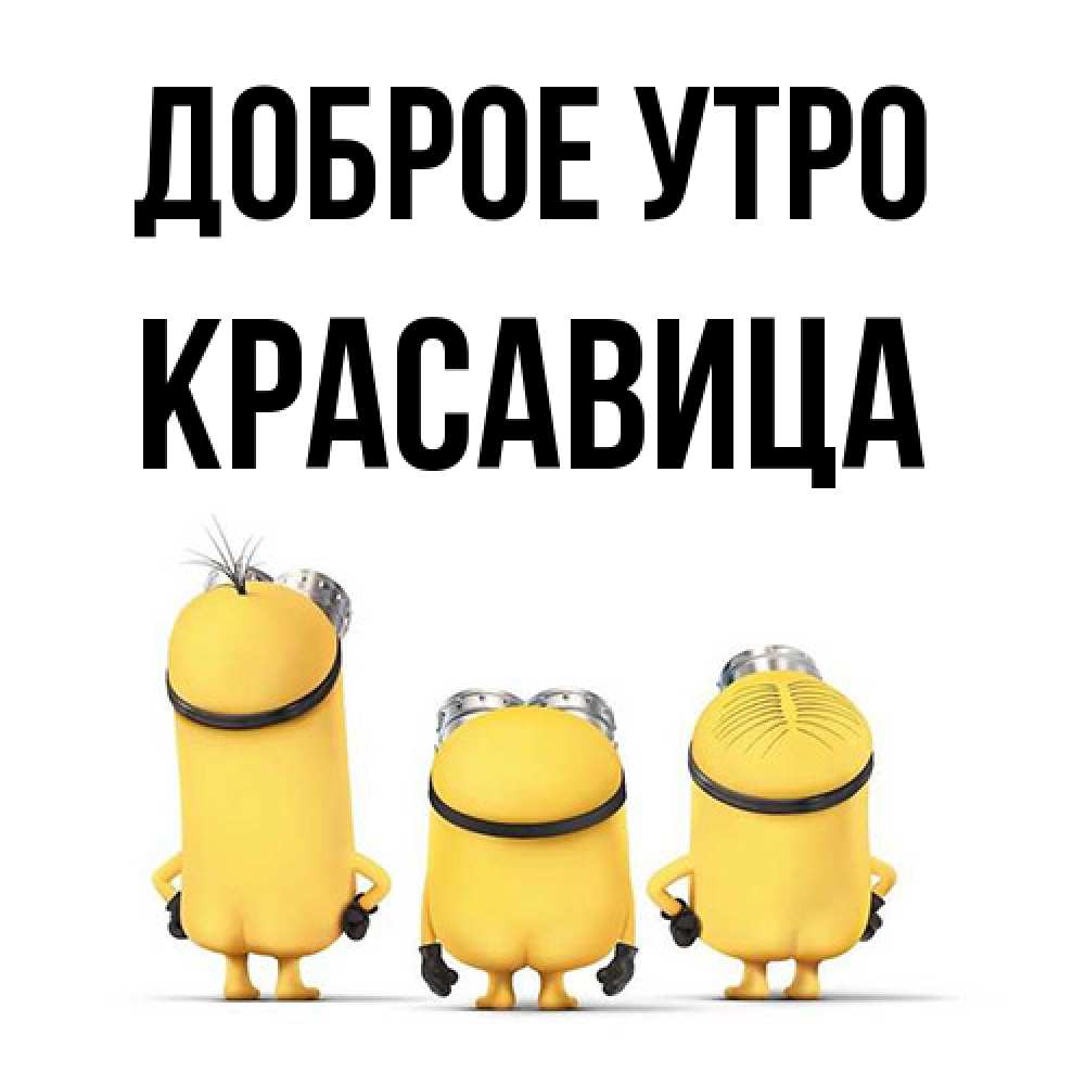 Открытка на каждый день с именем, Красавица Доброе утро подписать открытку онлайн бесплатно Прикольная открытка с пожеланием онлайн скачать бесплатно 