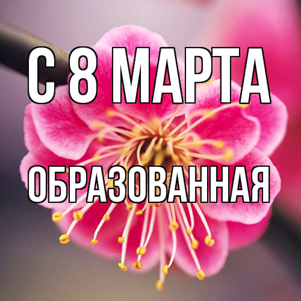 Открытка на каждый день с именем, Образованная C 8 МАРТА цветы Прикольная открытка с пожеланием онлайн скачать бесплатно 