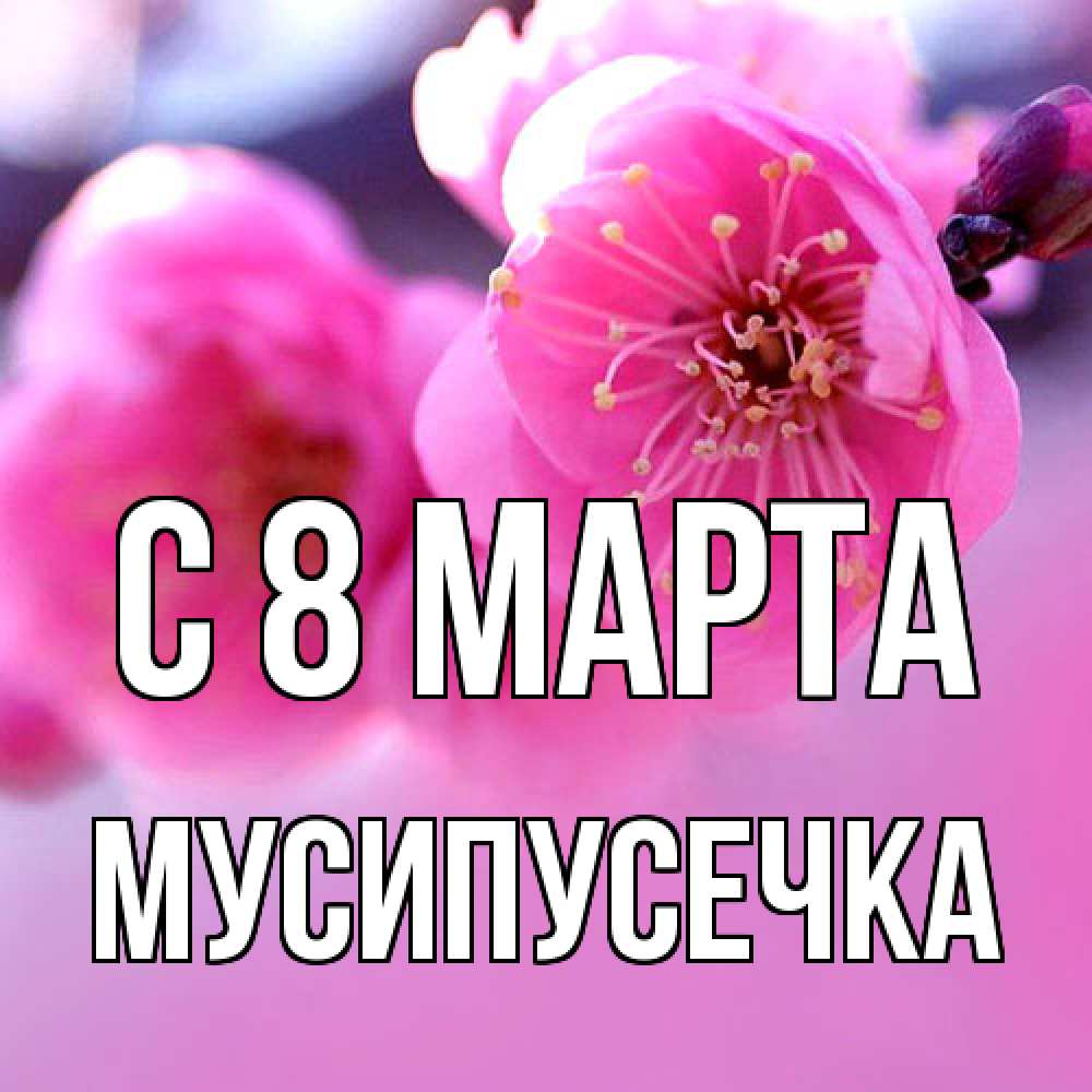 Открытка на каждый день с именем, Мусипусечка C 8 МАРТА международный женский день Прикольная открытка с пожеланием онлайн скачать бесплатно 