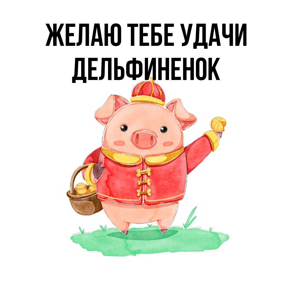 Открытка на каждый день с именем, дельфиненок Желаю тебе удачи поросенок Прикольная открытка с пожеланием онлайн скачать бесплатно 