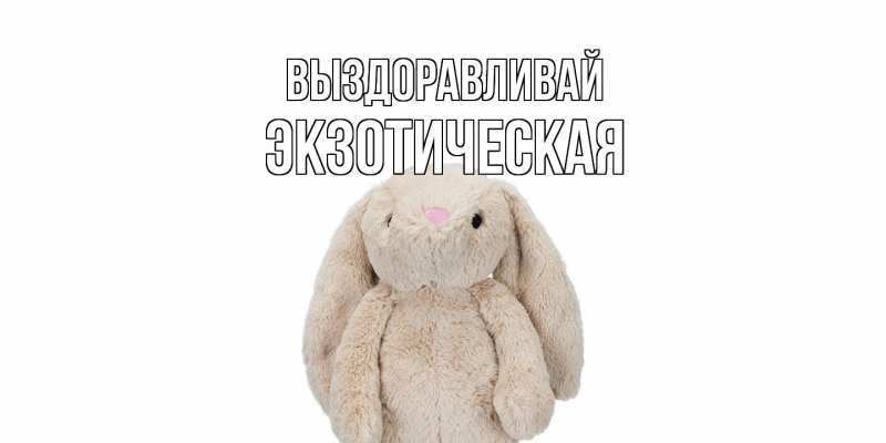 Картинка Выздоравливай, Экзотическая