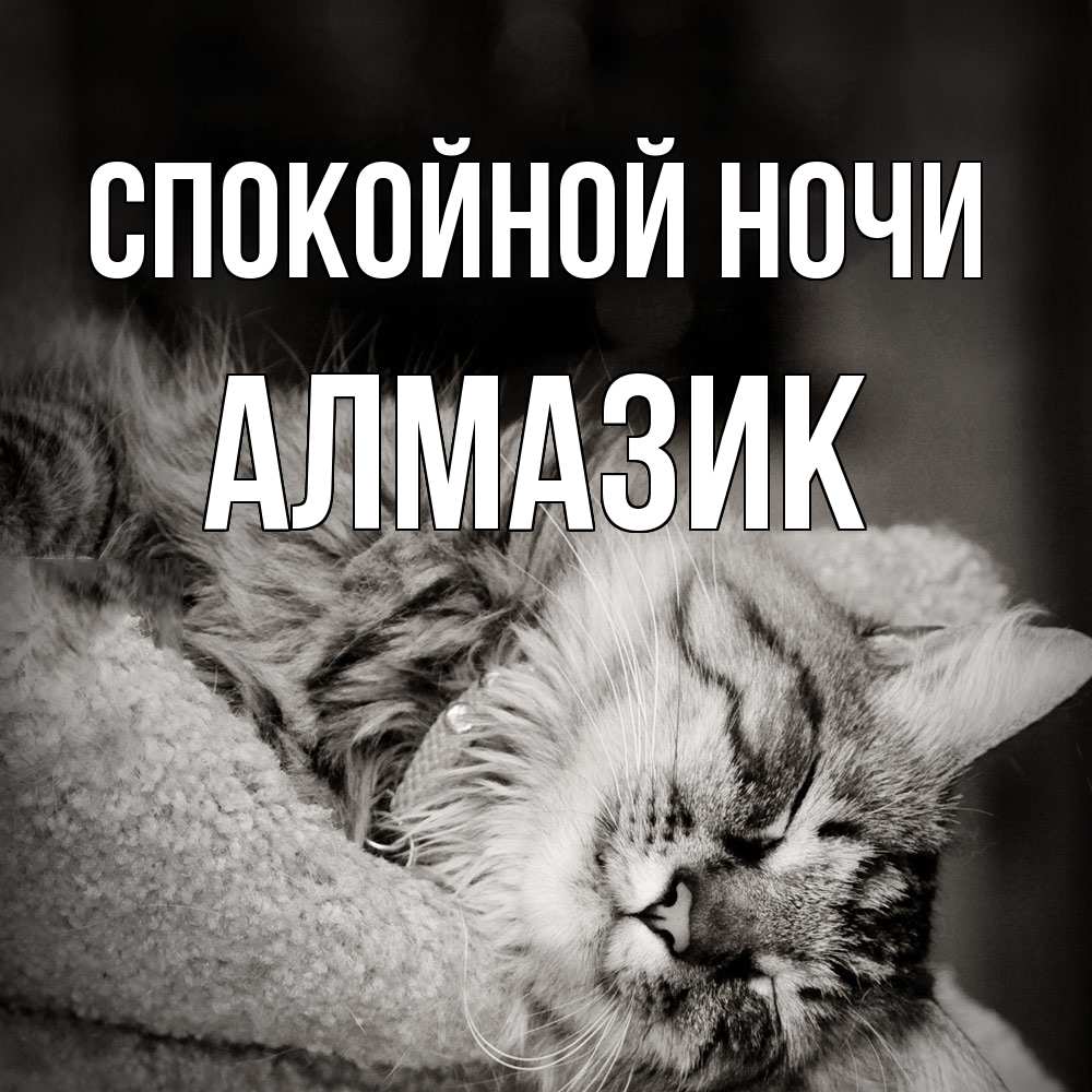 Открытка на каждый день с именем, Алмазик Спокойной ночи котярик пушистый Прикольная открытка с пожеланием онлайн скачать бесплатно 