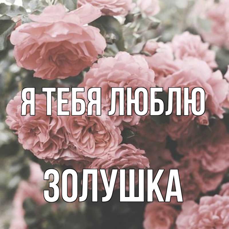 Картинка Я тебя люблю, Золушка