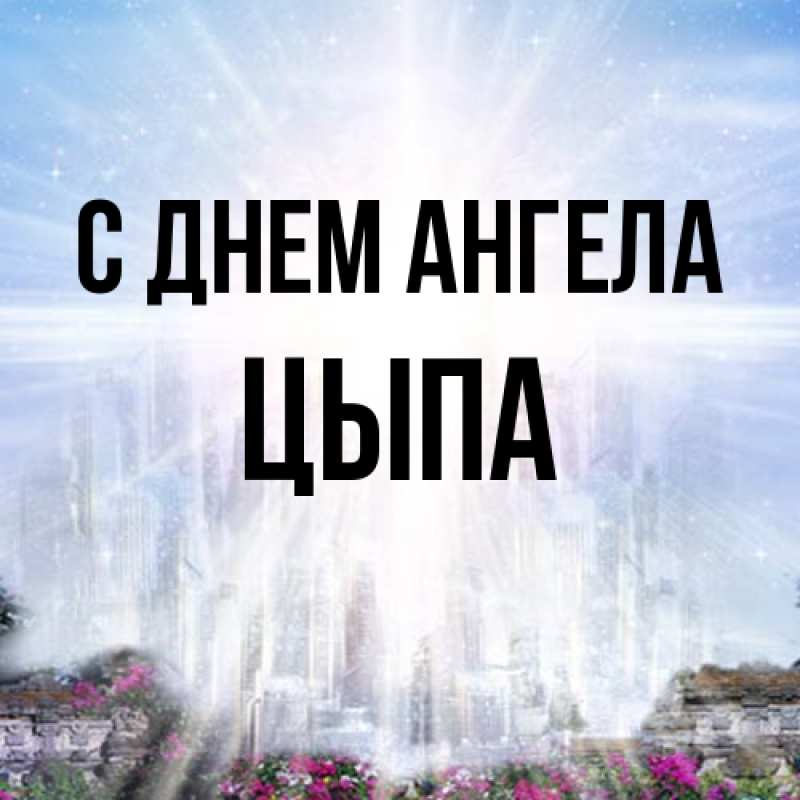 Картинка С днем ангела, Цыпа