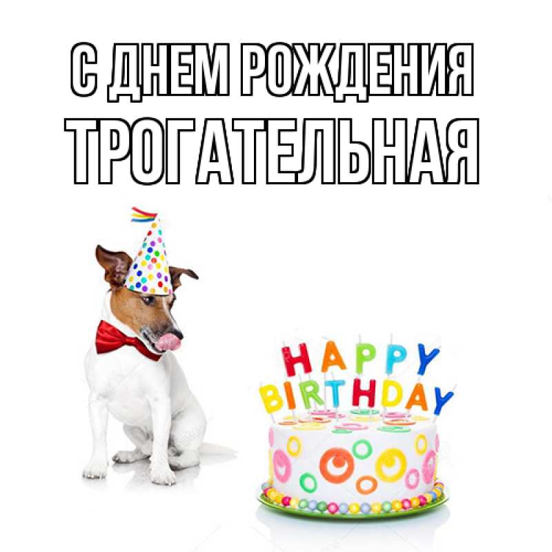 Картинка С днем рождения, Тpогательная