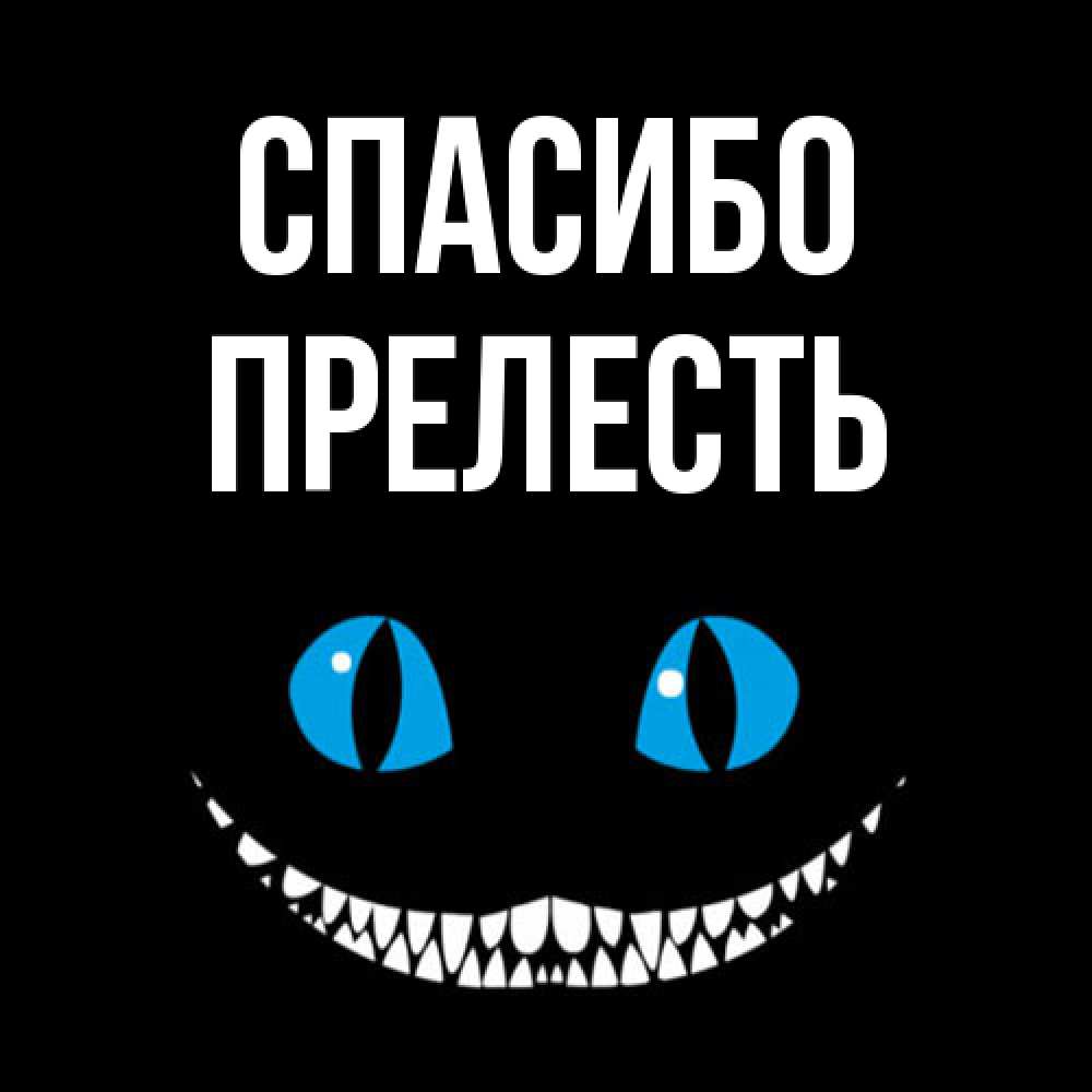 Открытка на каждый день с именем, прелесть Спасибо благодарю от чеширика Прикольная открытка с пожеланием онлайн скачать бесплатно 