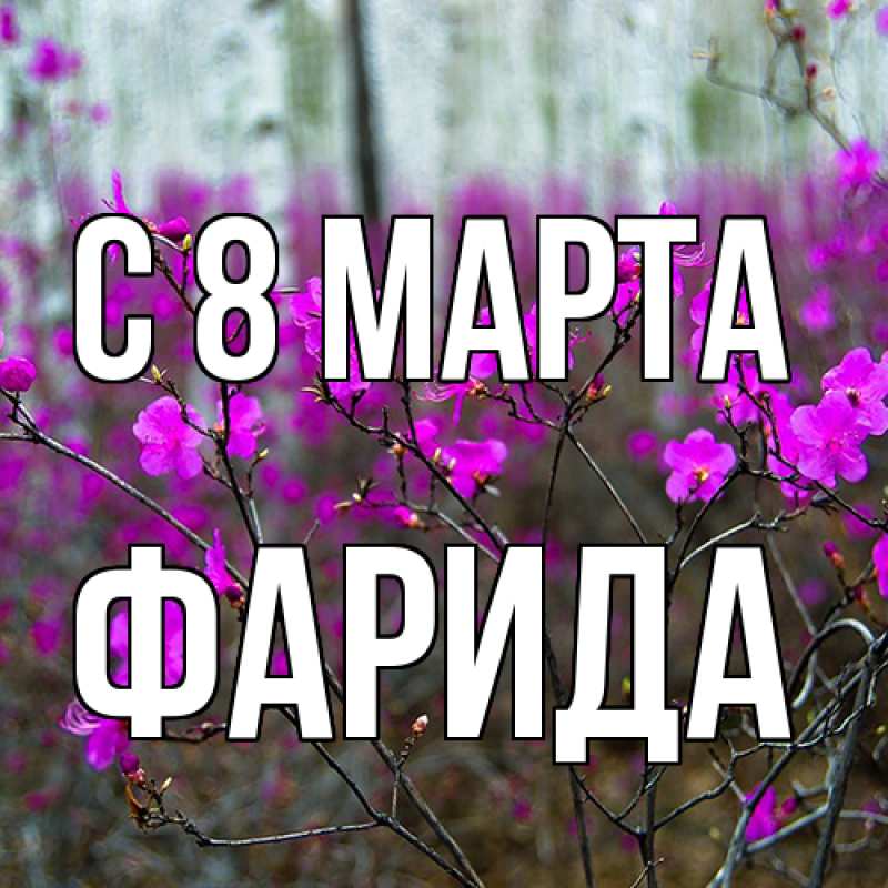 Картинка C 8 МАРТА, Фарида