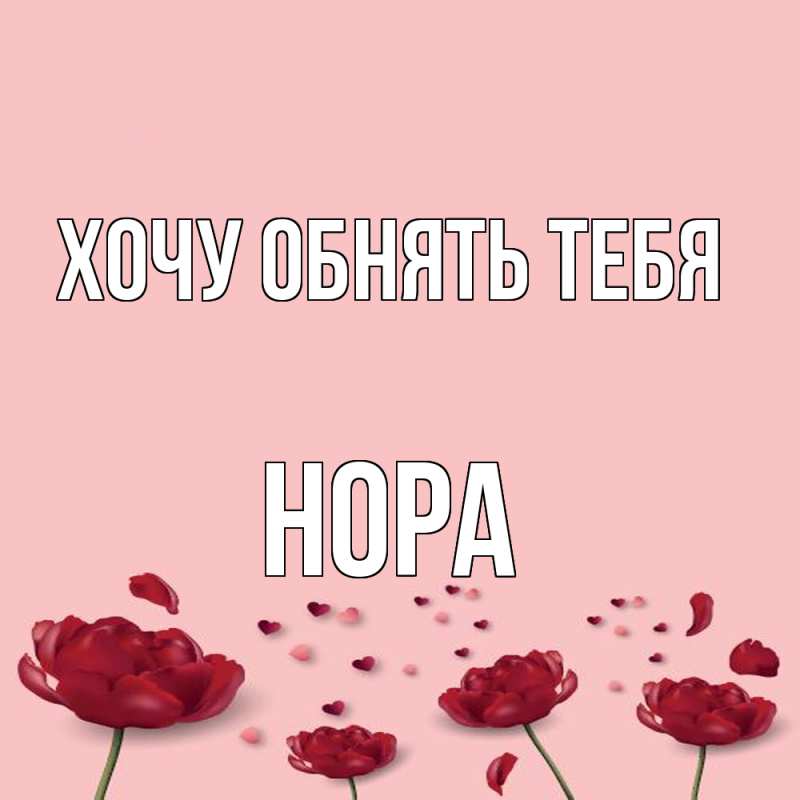 Картинка Хочу обнять тебя, Нора