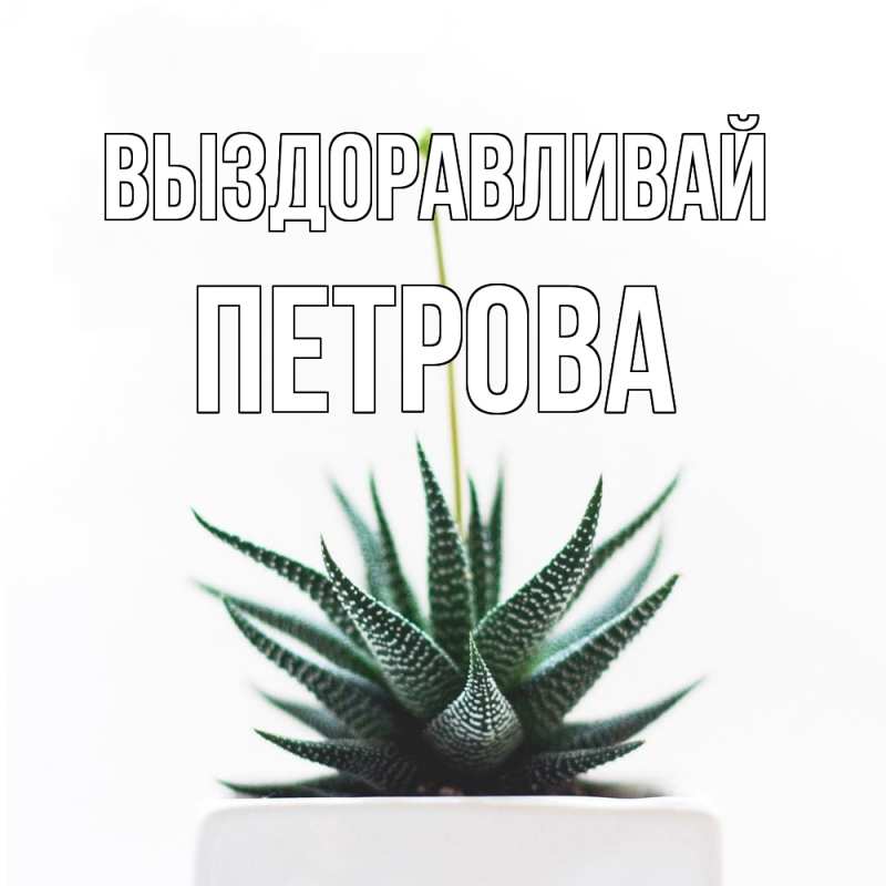 Картинка Выздоравливай, Петрова