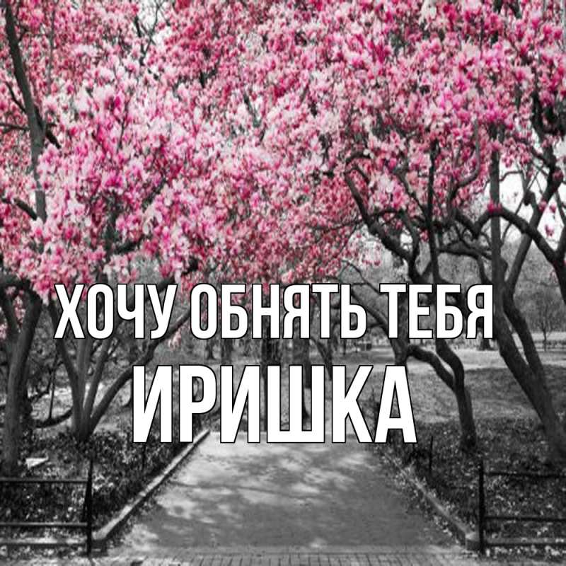 Картинка Хочу обнять тебя, Иришка