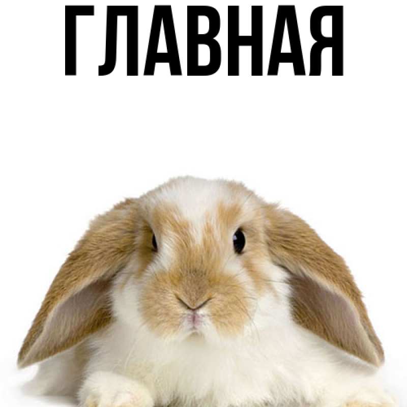 Картинка  с именем , настя