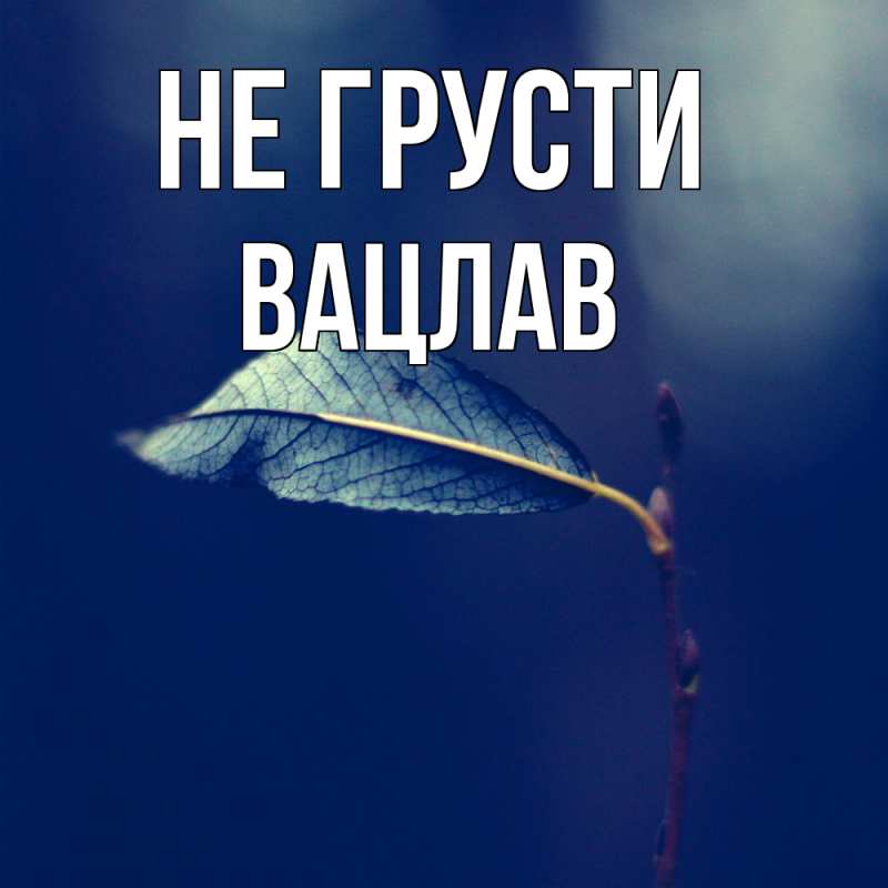 Картинка Не грусти, Вацлав