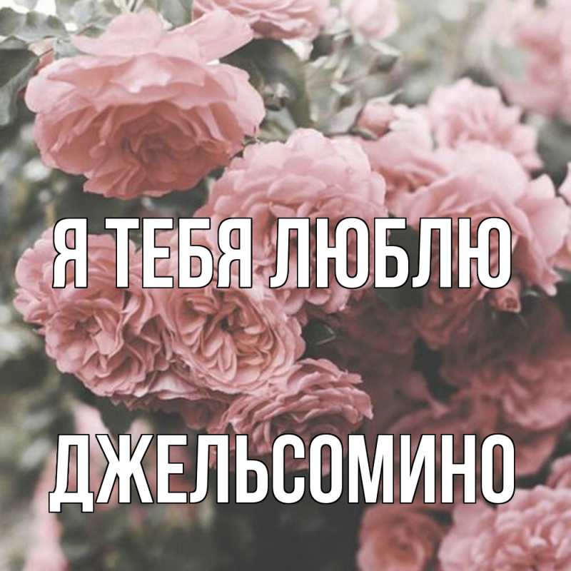 Картинка Я тебя люблю, Джельсомино