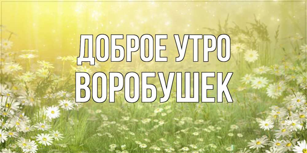 Открытка на каждый день с именем, Воробушек Доброе утро доброе утро Прикольная открытка с пожеланием онлайн скачать бесплатно 