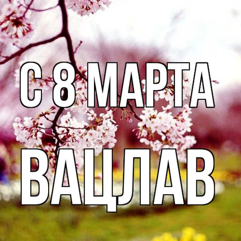 Картинка C 8 МАРТА, Вацлав