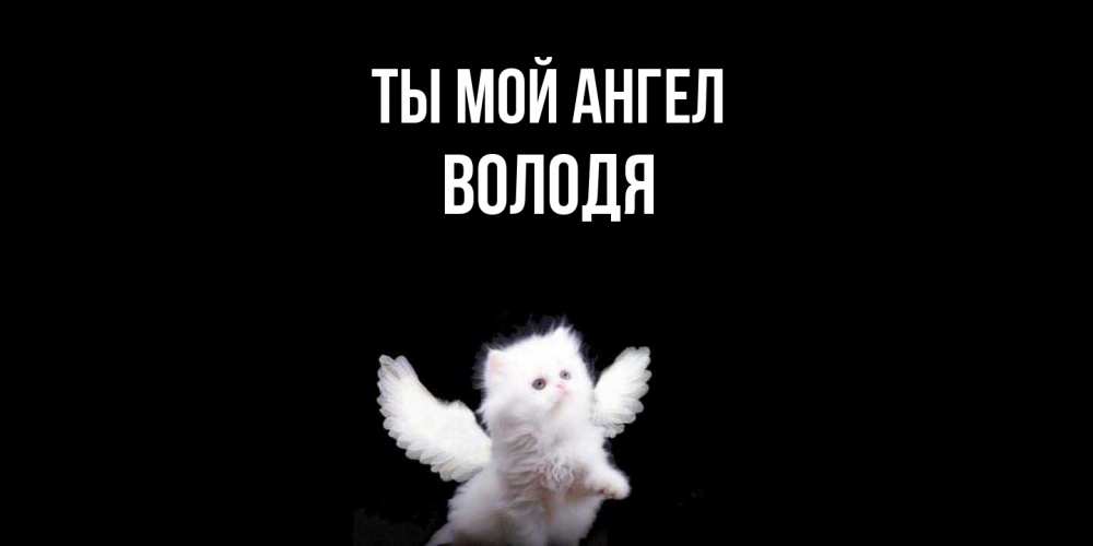 Открытка на каждый день с именем, Володя Ты мой ангел Кот ангел Прикольная открытка с пожеланием онлайн скачать бесплатно 