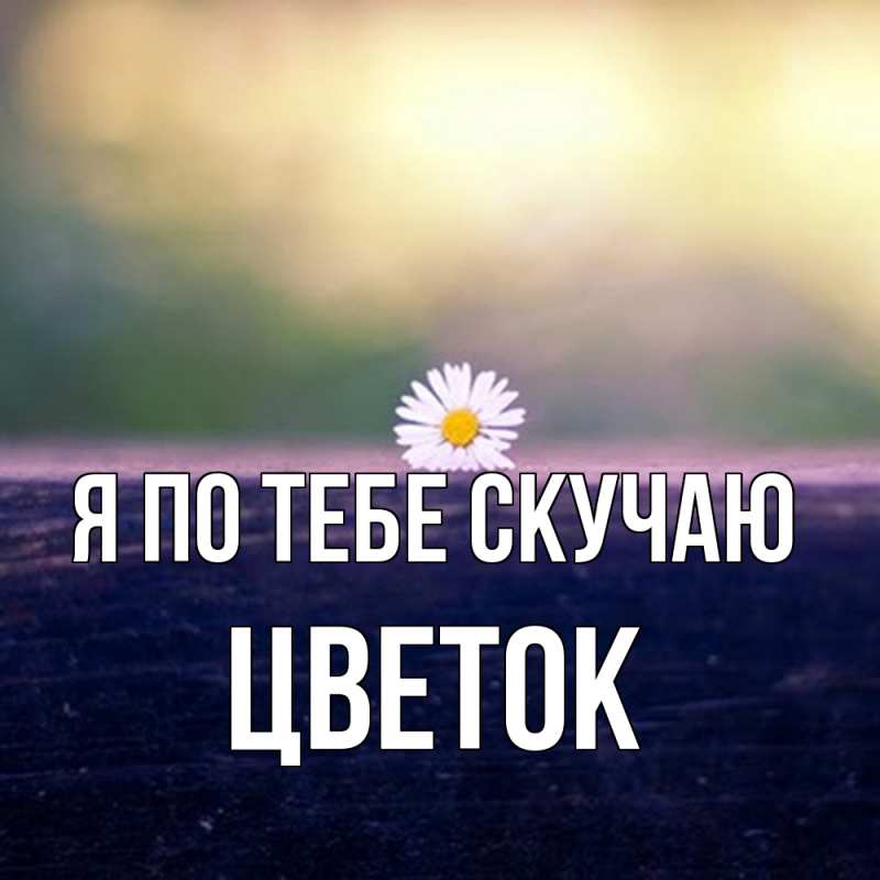 Картинка Я по тебе скучаю, Цветок