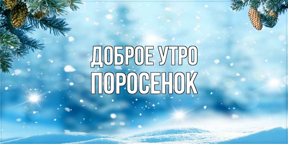 Открытка на каждый день с именем, Поросенок Доброе утро зимнее доброе утро Прикольная открытка с пожеланием онлайн скачать бесплатно 