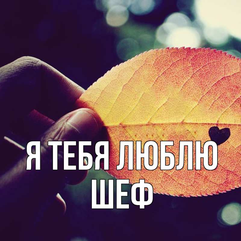 Картинка Я тебя люблю, Шеф