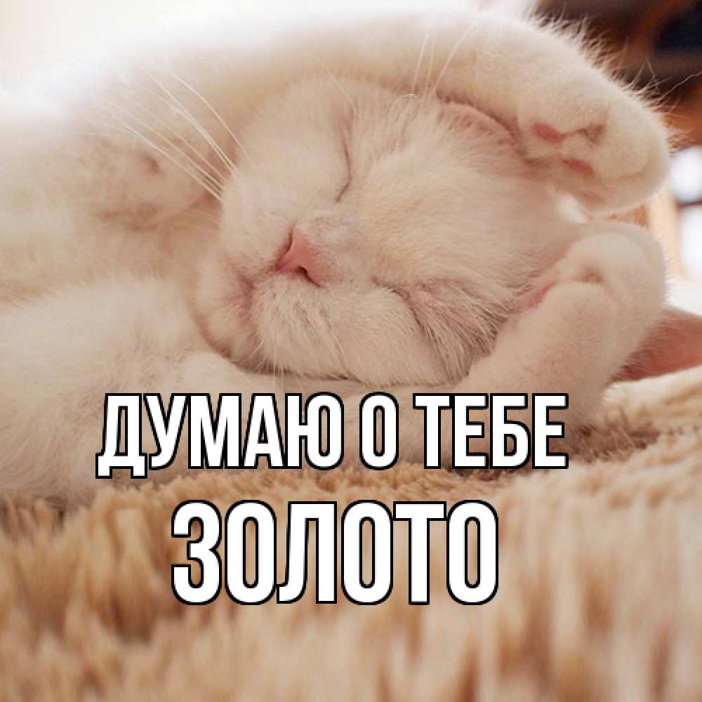 Открытка на каждый день с именем, Золото Думаю о тебе для любимой девушки милота Прикольная открытка с пожеланием онлайн скачать бесплатно 