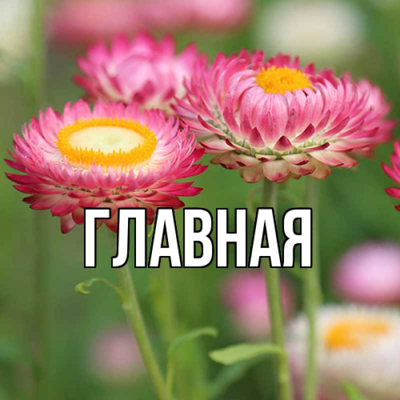 Картинка  с именем , Марьяна