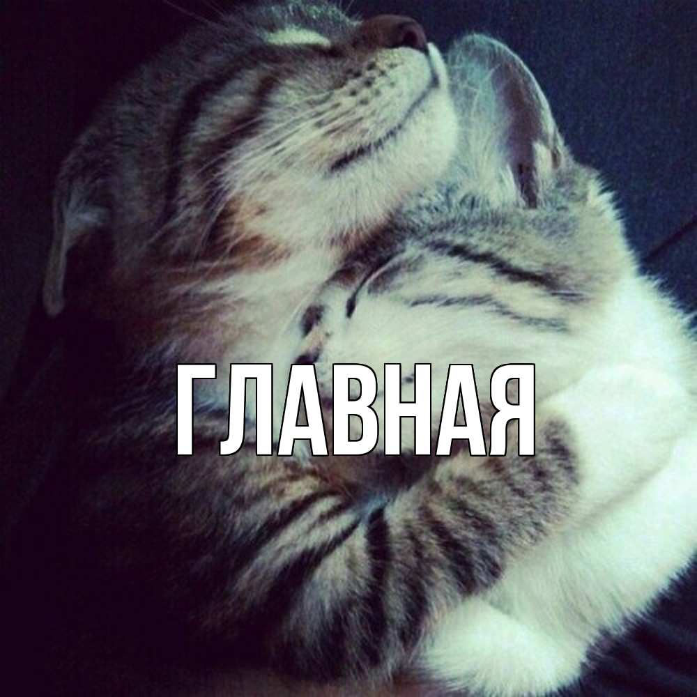 Открытка на каждый день с именем, Анна Главная полосатики Прикольная открытка с пожеланием онлайн скачать бесплатно 